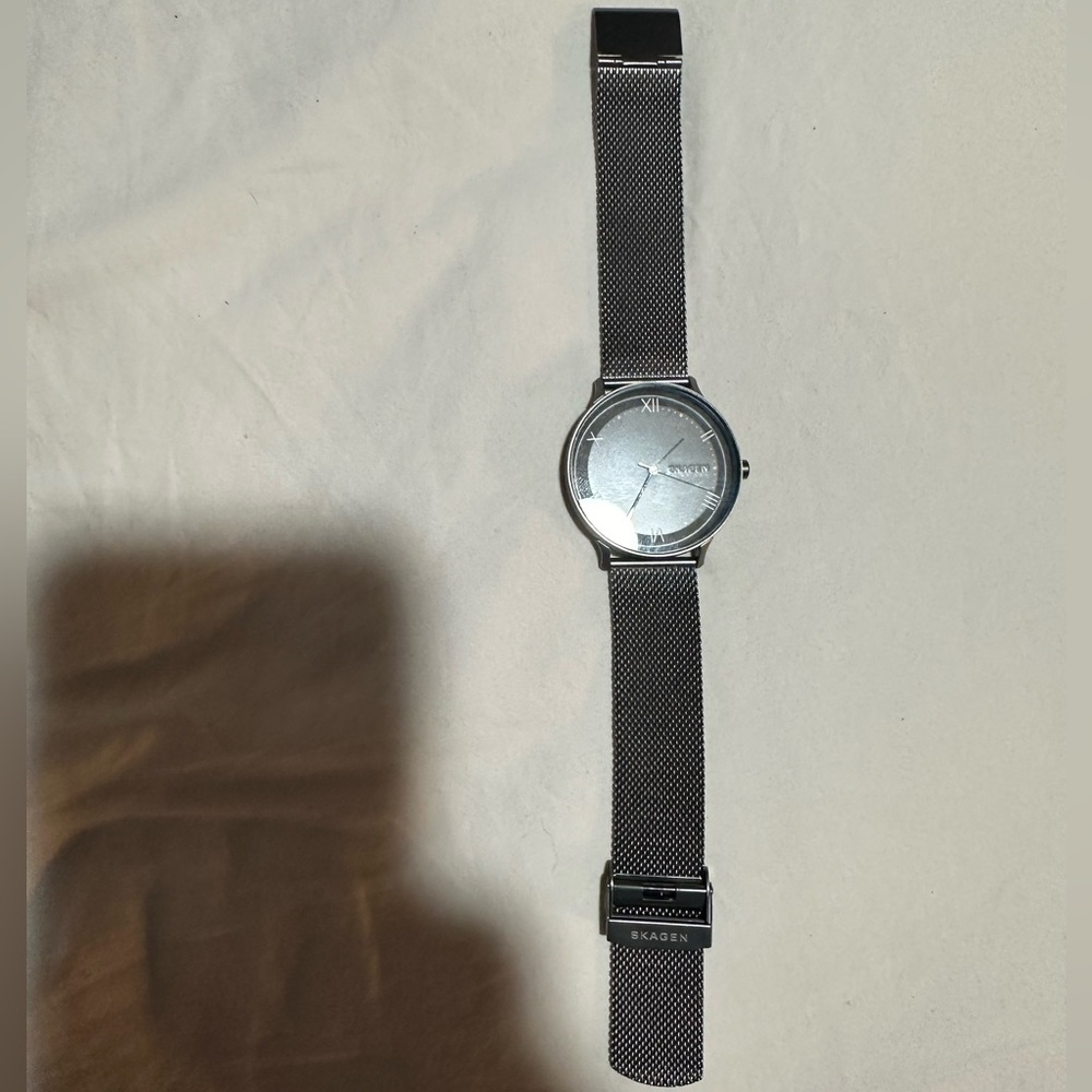 Men’s Skagen Watch